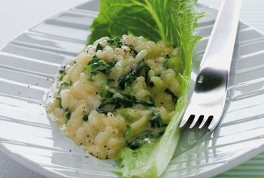 Agizza_risotto_alla_lattuga